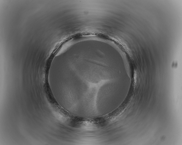 X0000090990496200708091522