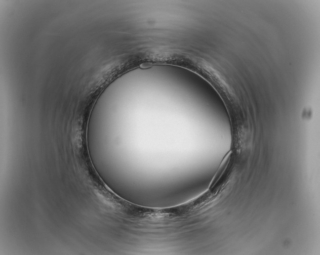 X0000090990497200708091522