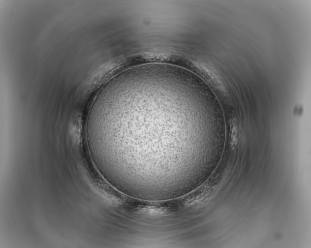 X0000090990498200708091522