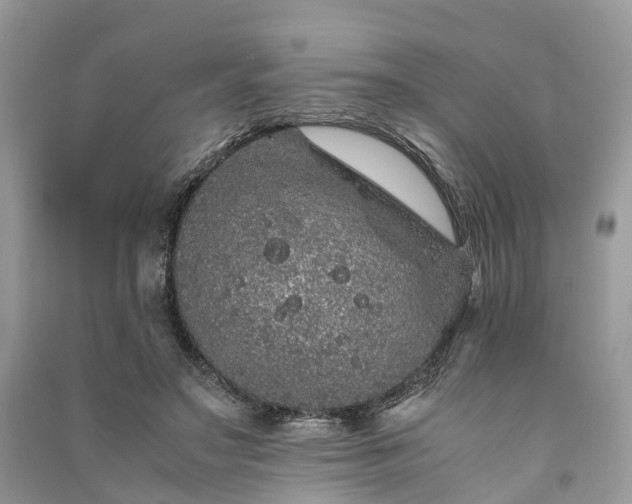 X0000090990499200708091522