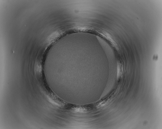 X0000090990500200708091522