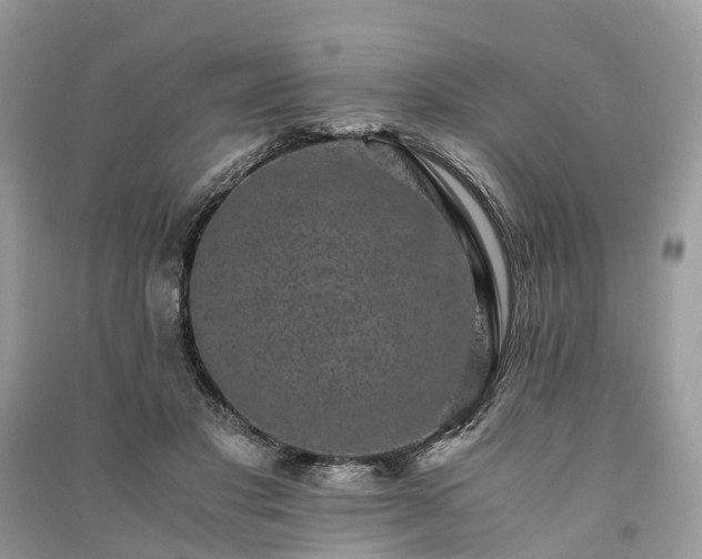 X0000090990501200708091522