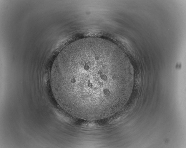 X0000090990503200708091522