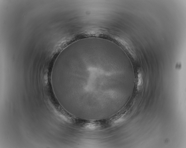 X0000090990504200708091522