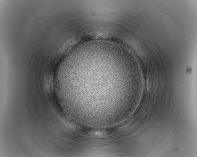 X0000090990506200708091522