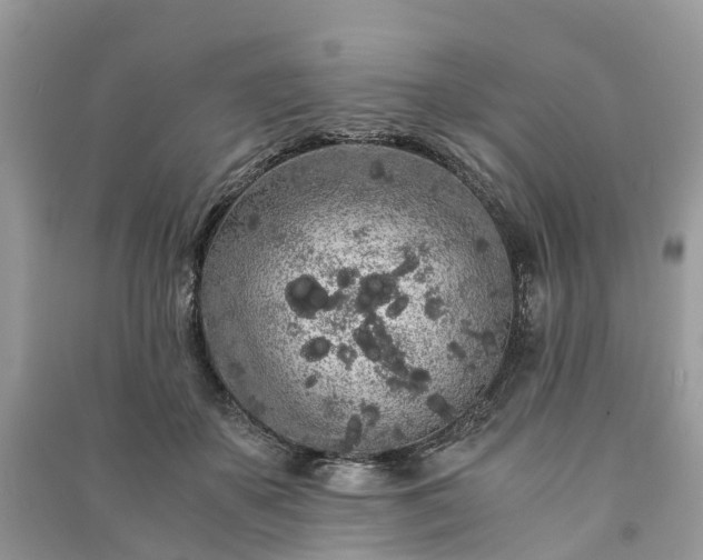 X0000090990507200708091522