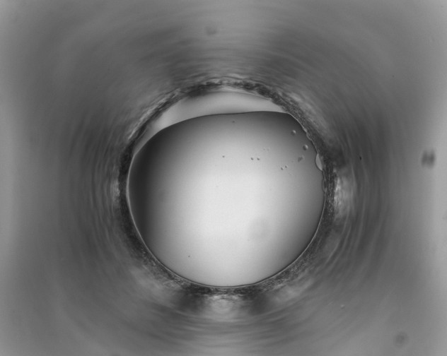 X0000090990508200708091522