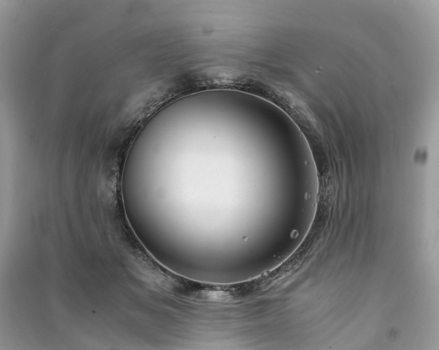 X0000090990509200708091522