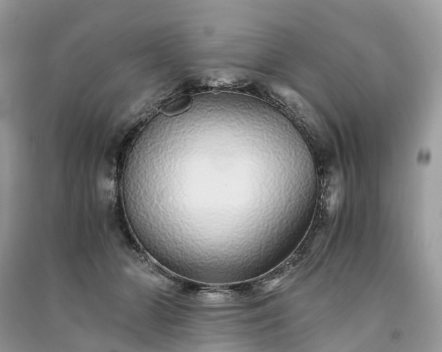 X0000090990510200708091522