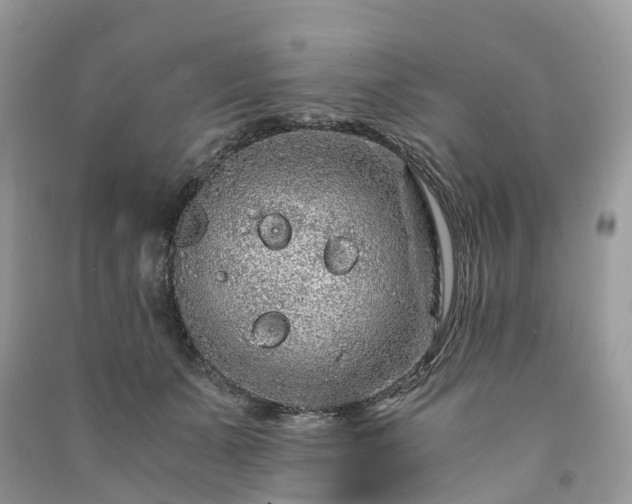 X0000090990511200708091522