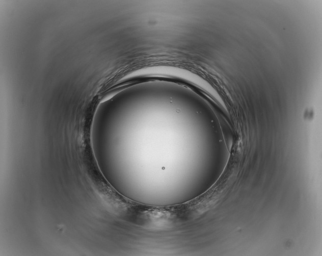 X0000090990512200708091522