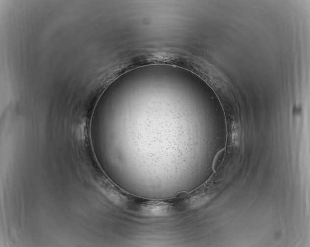 X0000090990514200708091522