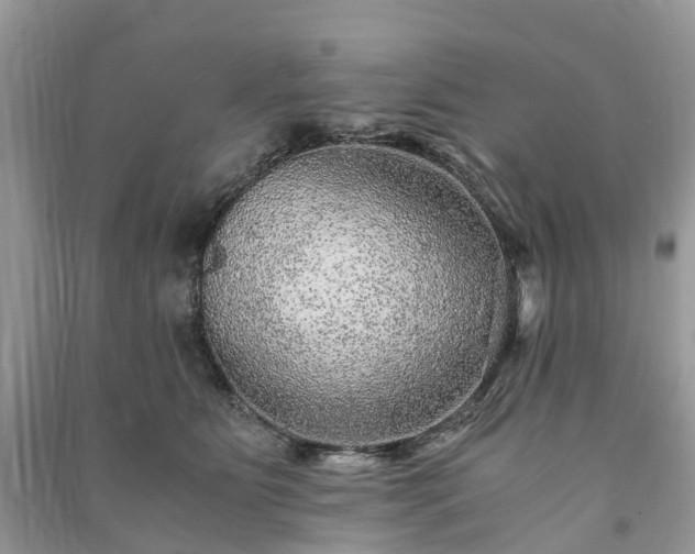 X0000090990515200708091522