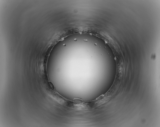 X0000090990516200708091522