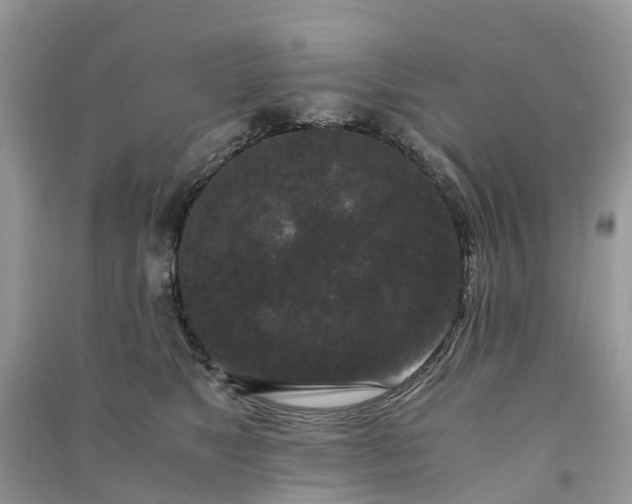 X0000090990517200708091522