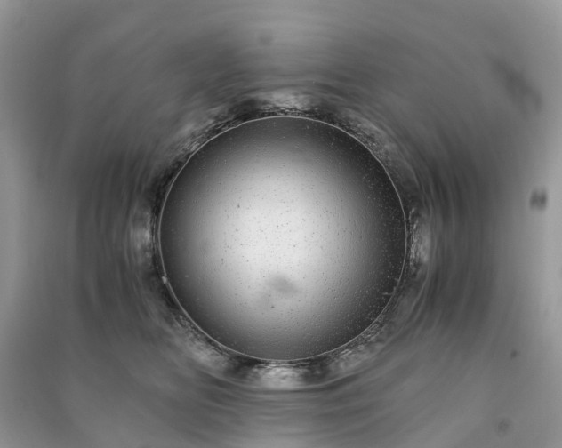 X0000090990518200708091522