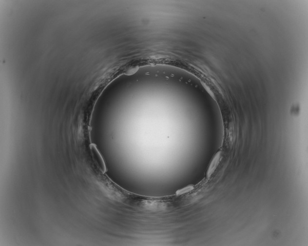 X0000090990520200708091521