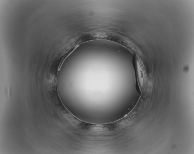 X0000090990521200708091521