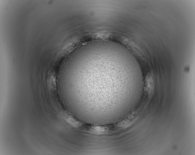 X0000090990522200708091521