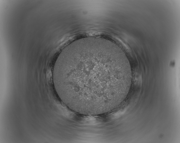 X0000090990523200708091521