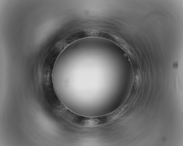 X0000090990525200708091521