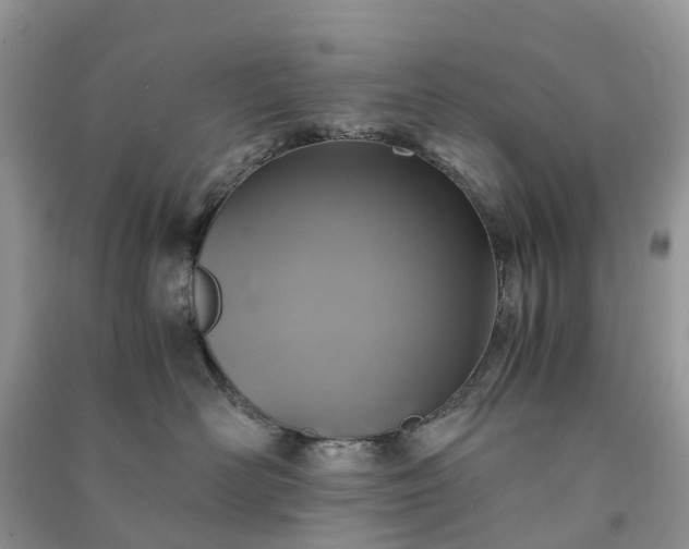 X0000090990526200708091521