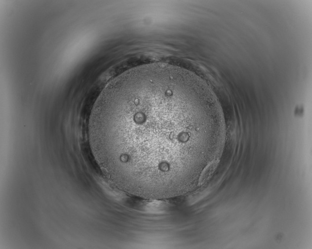 X0000090990527200708091521