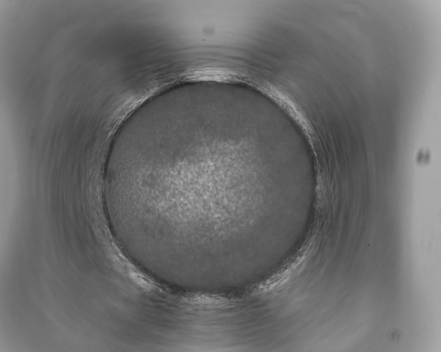 X0000090990529200708091521