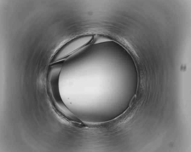 X0000090990530200708091521