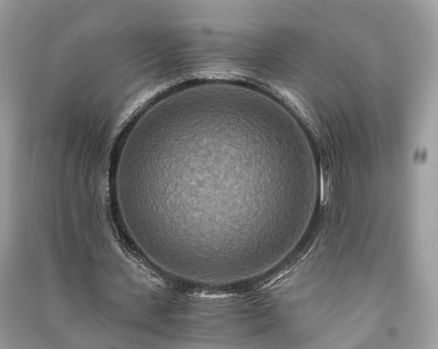 X0000090990531200708091521