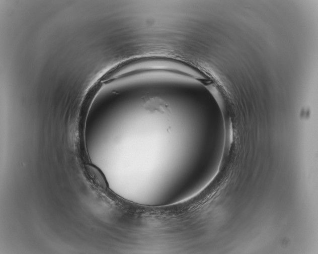 X0000090990532200708091521