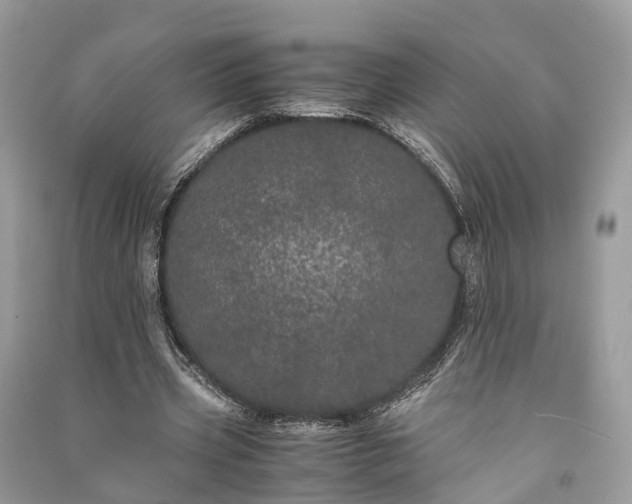 X0000090990533200708091521