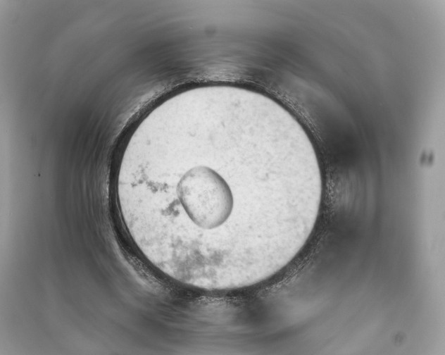 X0000090990534200708091521