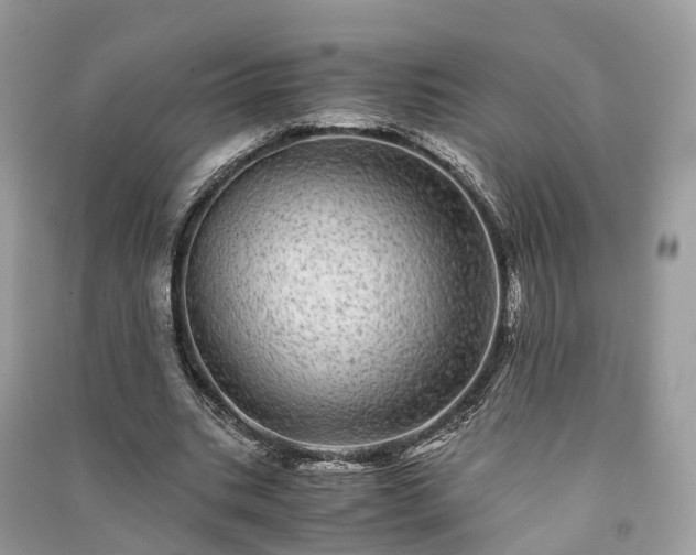 X0000090990535200708091521