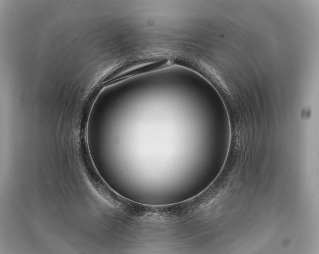 X0000090990538200708091521