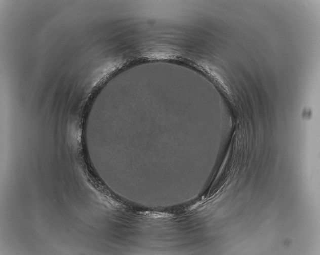 X0000090990539200708091521