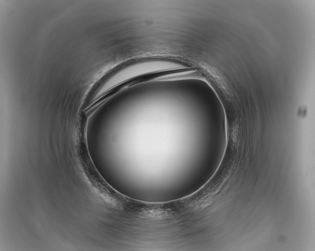 X0000090990540200708091521