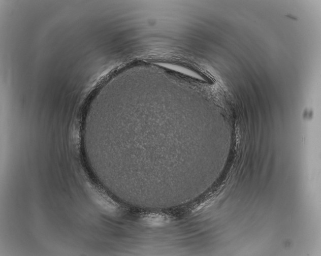 X0000090990542200708091521