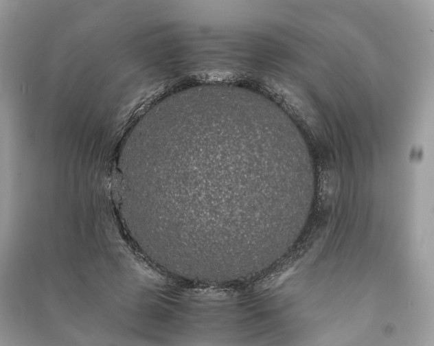 X0000090990545200708091521