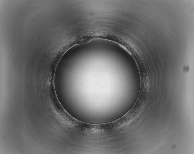 X0000090990546200708091521