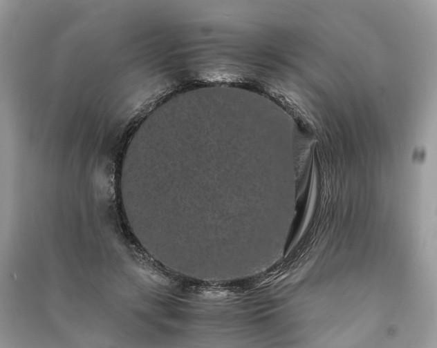 X0000090990547200708091521