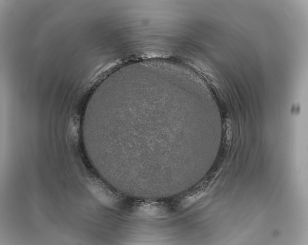 X0000090990550200708091521