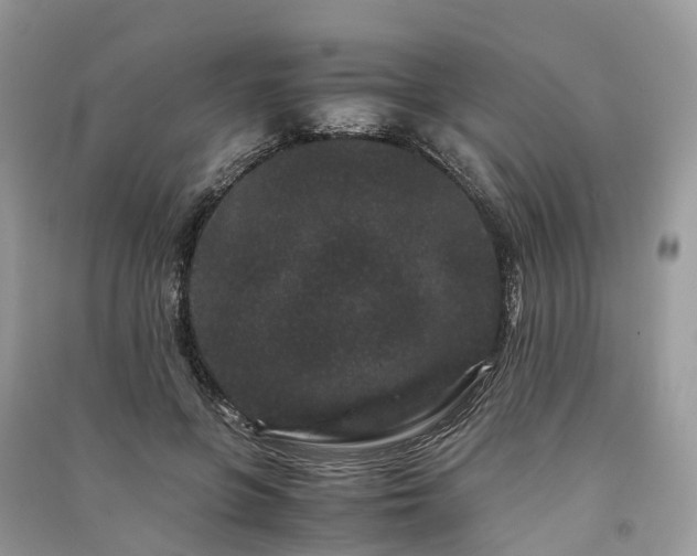 X0000090990551200708091521