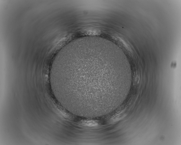 X0000090990553200708091521