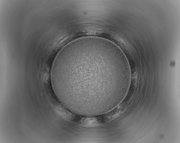 X0000090990554200708091521