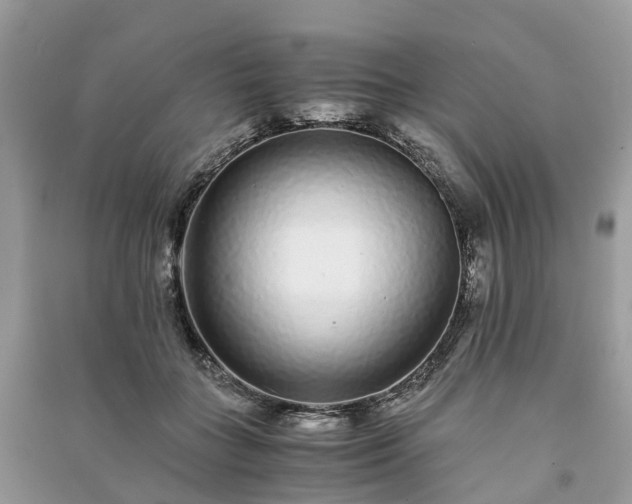 X0000090990555200708091521