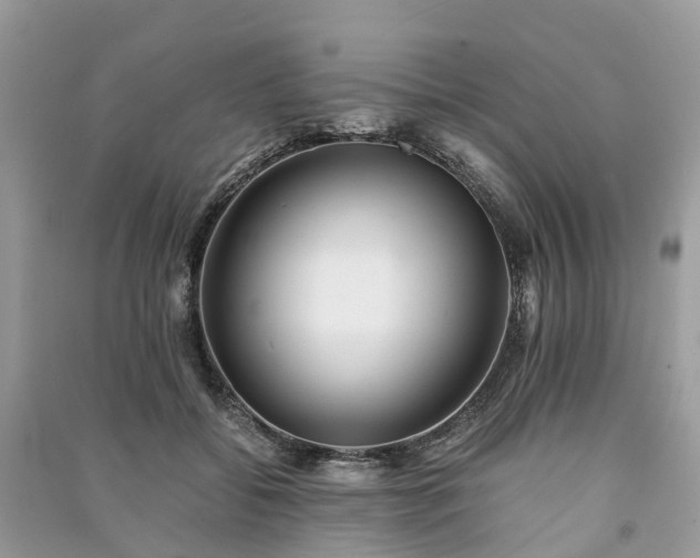 X0000090990556200708091521