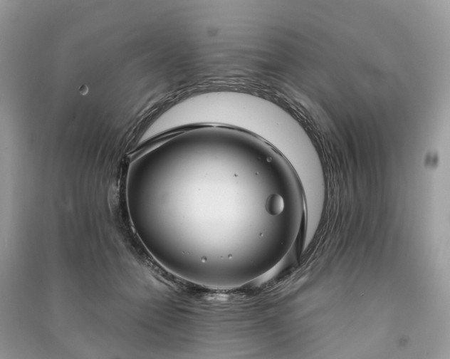 X0000090990558200708091521