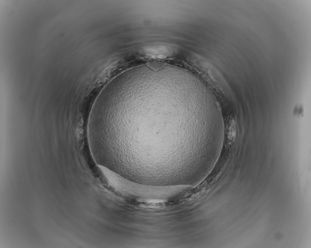 X0000090990559200708091521