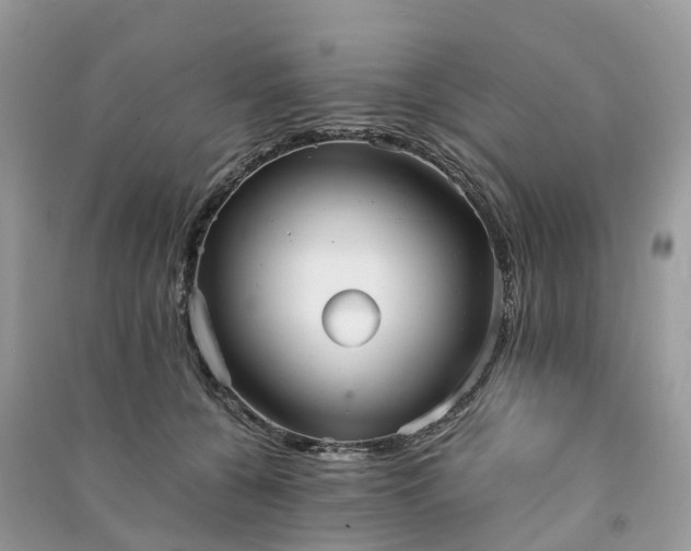 X0000090990560200708091521